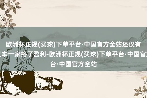 欧洲杯正规(买球)下单平台·中国官方全站还仅有理思汽车一家终了盈利-欧洲杯正规(买球)下单平台·中国官方全站
