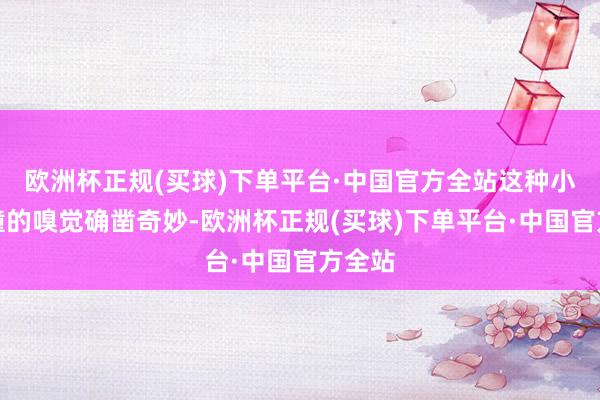 欧洲杯正规(买球)下单平台·中国官方全站这种小鹿乱撞的嗅觉确凿奇妙-欧洲杯正规(买球)下单平台·中国官方全站