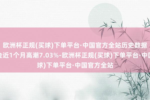 欧洲杯正规(买球)下单平台·中国官方全站历史数据显现该基金近1个月高潮7.03%-欧洲杯正规(买球)下单平台·中国官方全站