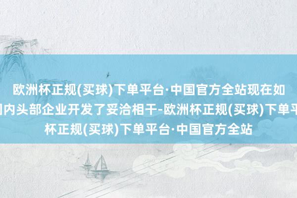欧洲杯正规(买球)下单平台·中国官方全站现在如故与北好意思及国内头部企业开发了妥洽相干-欧洲杯正规(买球)下单平台·中国官方全站
