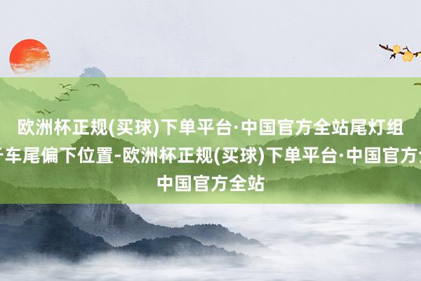 欧洲杯正规(买球)下单平台·中国官方全站尾灯组位于车尾偏下位置-欧洲杯正规(买球)下单平台·中国官方全站