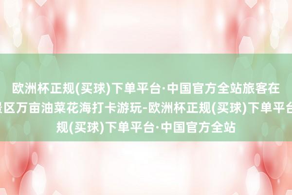 欧洲杯正规(买球)下单平台·中国官方全站旅客在沙河市红薯岭景区万亩油菜花海打卡游玩-欧洲杯正规(买球)下单平台·中国官方全站