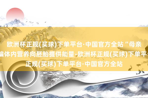 欧洲杯正规(买球)下单平台·中国官方全站“母亲”则躺在屋内诓骗体内营养向胚胎提供能量-欧洲杯正规(买球)下单平台·中国官方全站