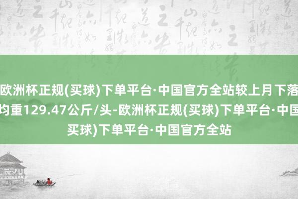 欧洲杯正规(买球)下单平台·中国官方全站较上月下落3.91%；均重129.47公斤/头-欧洲杯正规(买球)下单平台·中国官方全站