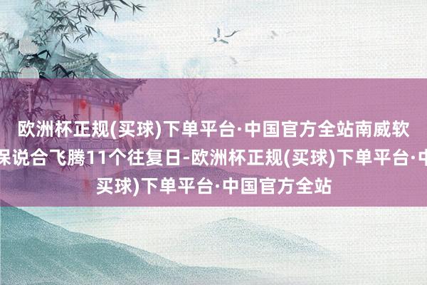 欧洲杯正规(买球)下单平台·中国官方全站南威软件、京源环保说合飞腾11个往复日-欧洲杯正规(买球)下单平台·中国官方全站