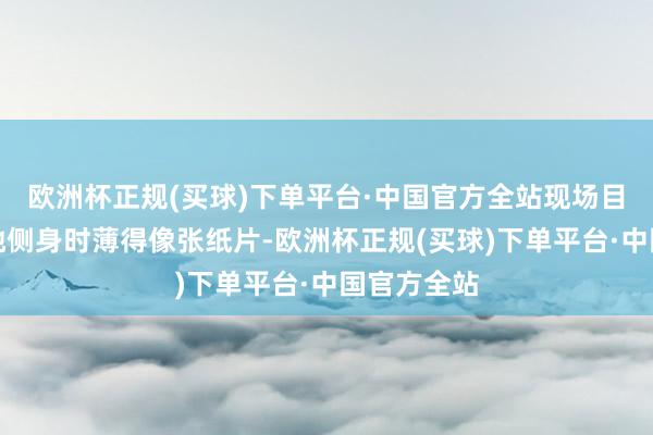 欧洲杯正规(买球)下单平台·中国官方全站现场目睹者称：她侧身时薄得像张纸片-欧洲杯正规(买球)下单平台·中国官方全站