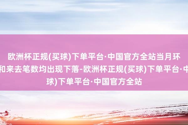 欧洲杯正规(买球)下单平台·中国官方全站当月环比融资金额和来去笔数均出现下落-欧洲杯正规(买球)下单平台·中国官方全站