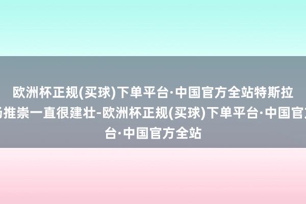 欧洲杯正规(买球)下单平台·中国官方全站特斯拉的商场推崇一直很建壮-欧洲杯正规(买球)下单平台·中国官方全站